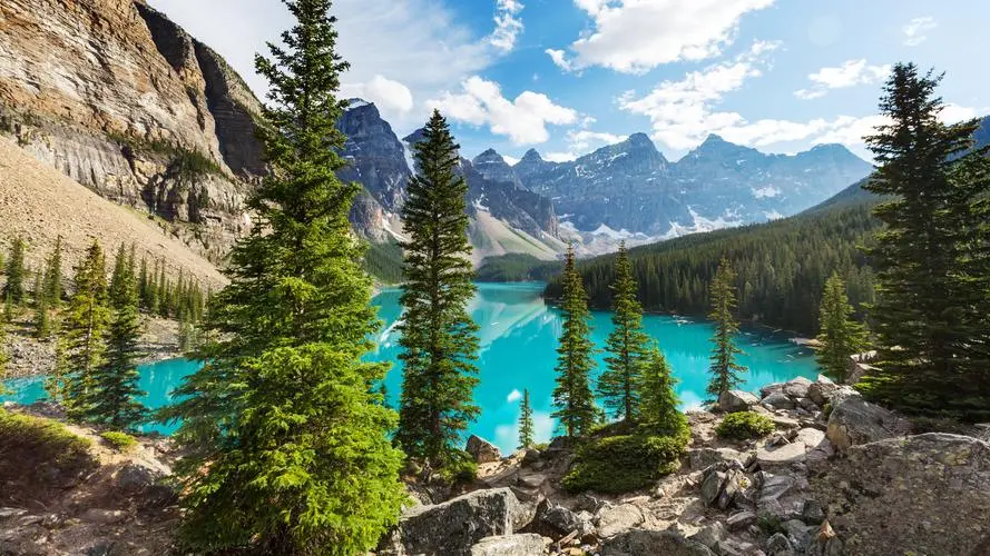 环保科技智能化